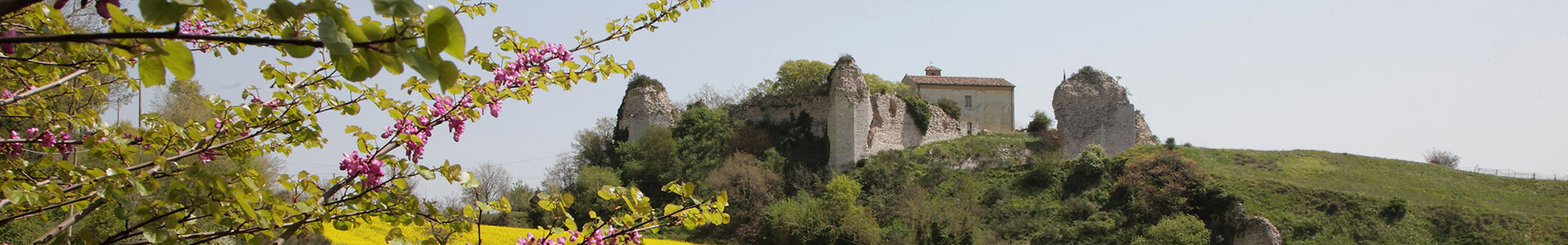 immagine luoghi del Comune di Fossombrone